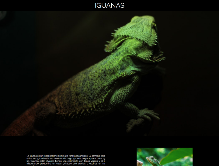 Iguana Page